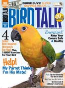 Bird Talk